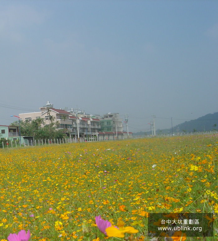 DSC04175.JPG