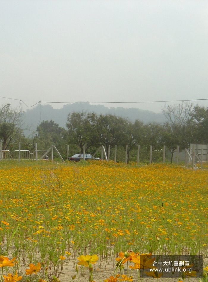 DSC04172.JPG