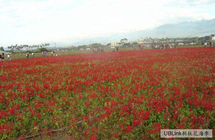 DSC04384.JPG