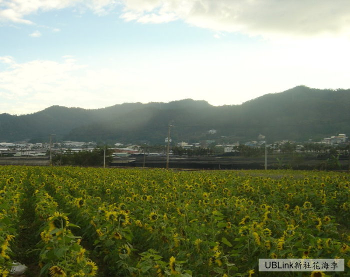 DSC04400.JPG
