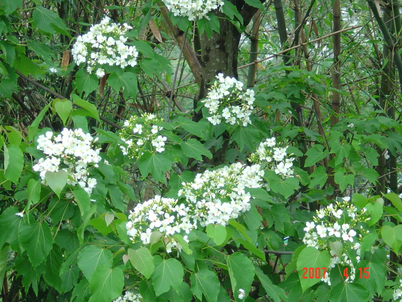 DSC03650.JPG