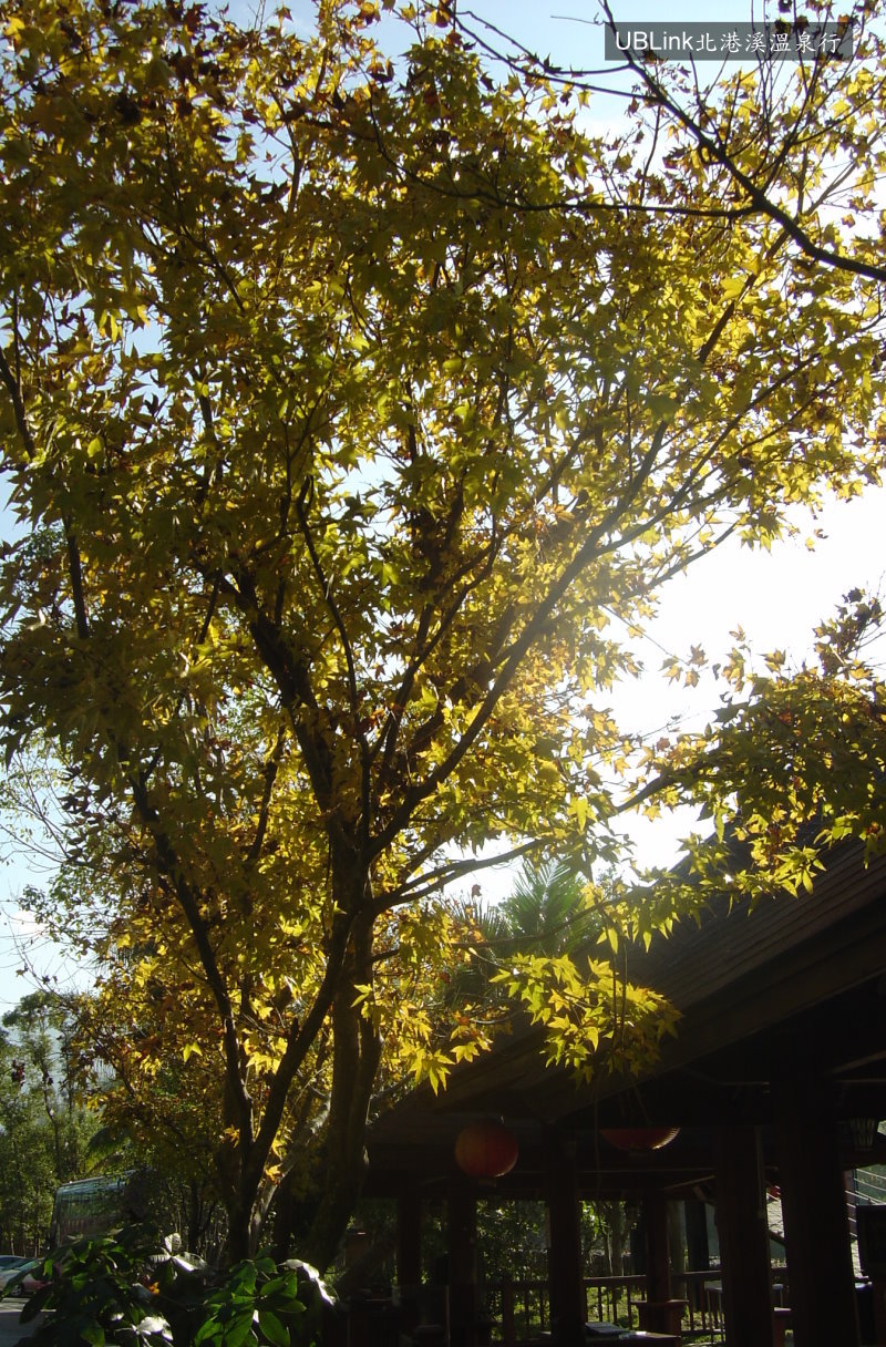 DSC04353.JPG