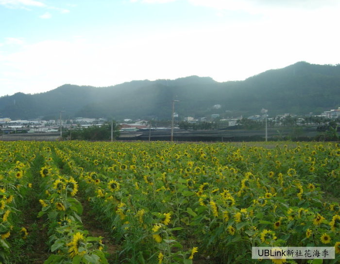 DSC04401.JPG