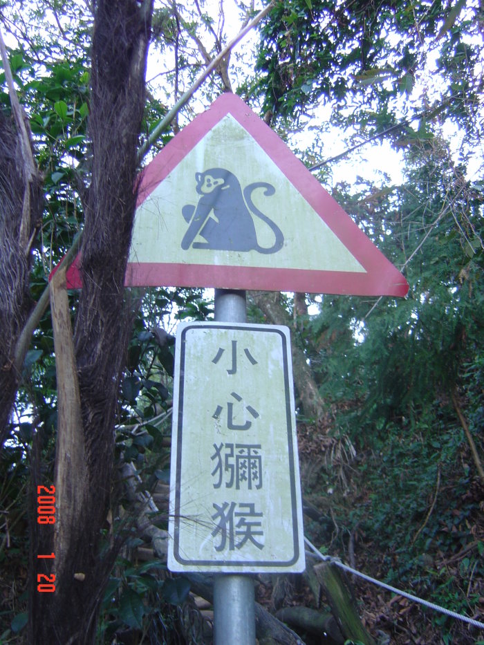 DSC04535.JPG