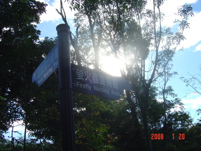 DSC04521.JPG