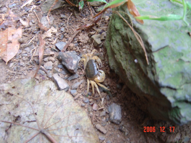DSC03340.JPG